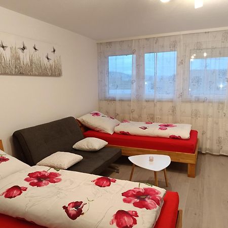 Apartment Lahr 50 외부 사진