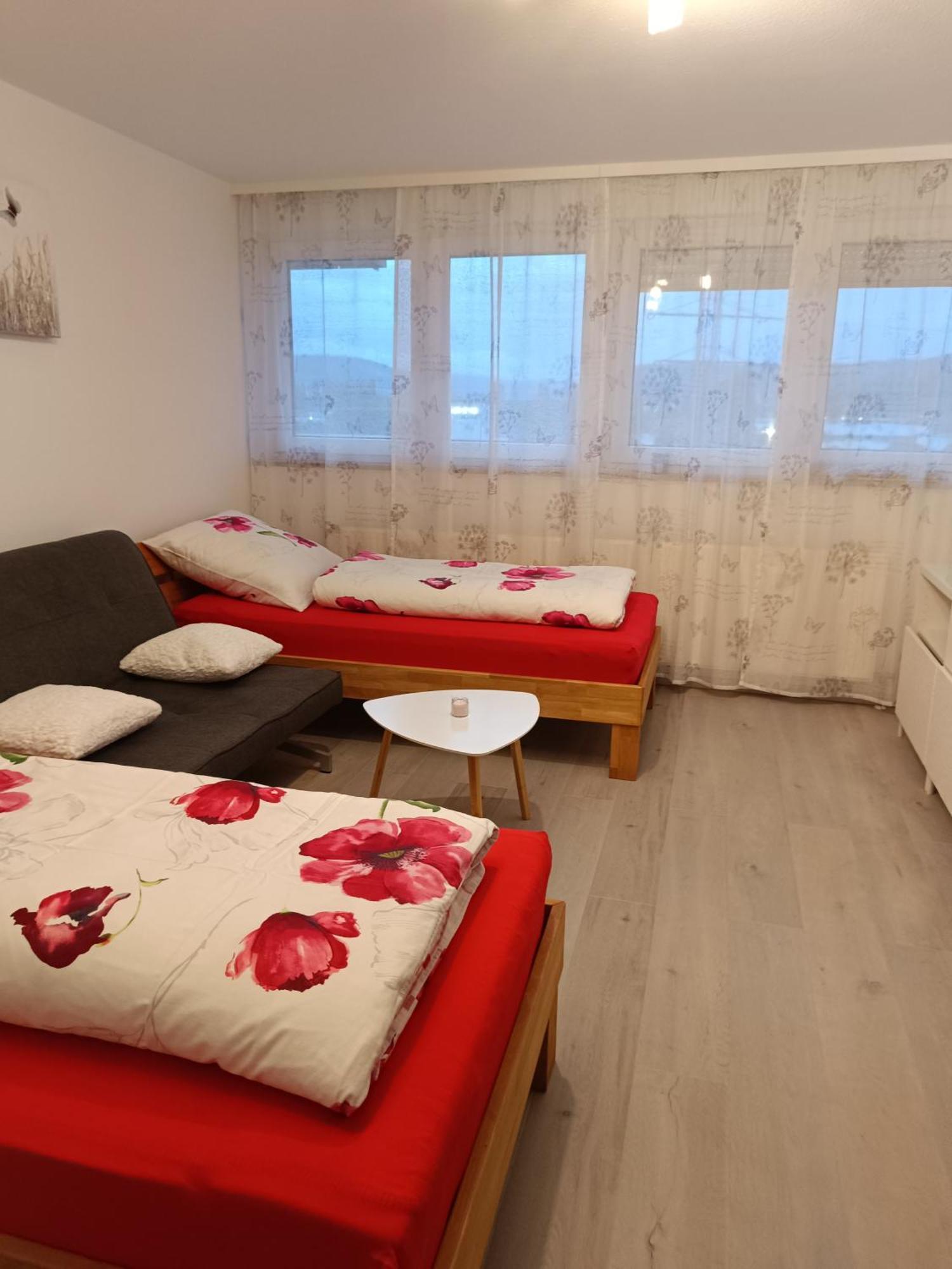 Apartment Lahr 50 외부 사진