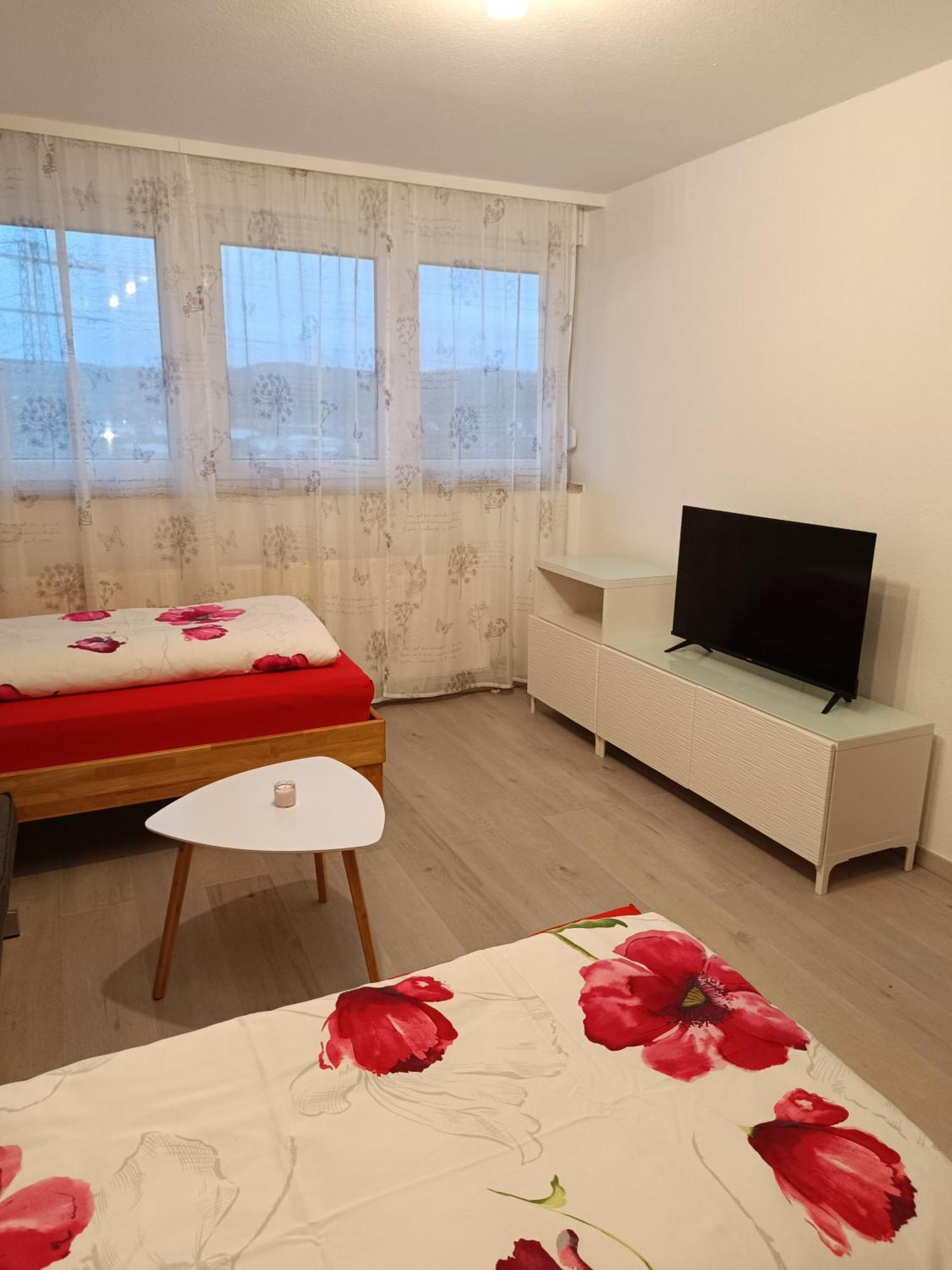 Apartment Lahr 50 외부 사진