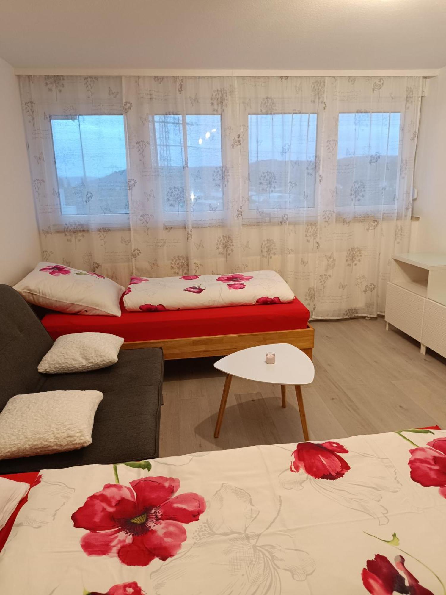 Apartment Lahr 50 외부 사진